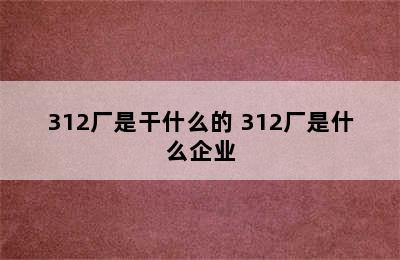 312厂是干什么的 312厂是什么企业